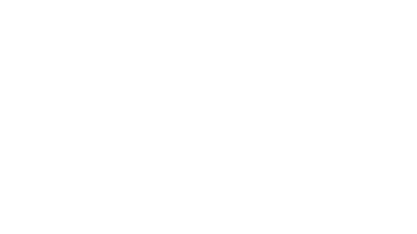 TPV France Logo TPV France