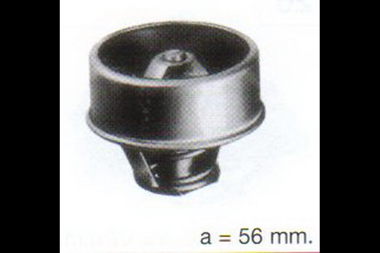 THERMOSTAT IN ROHR 75GR