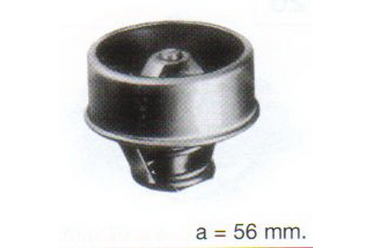 THERMOSTAT IN HOSE 75GR