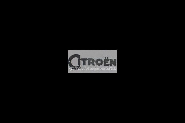 "Citroën" Schriftzug Edelstahl     127,5 x 43 mm